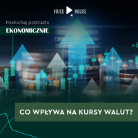 Klasyk. Co wpływa na kursy walut?